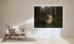 Backlit Folie Poster in einer gemütlichen Ecke, Motiv sitzender Hund im Wald