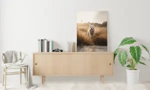 Fotoboard, Leichtschaumplatte drucken, Leinwand mit kleinem Hund der über ein Getreidefeld läuft