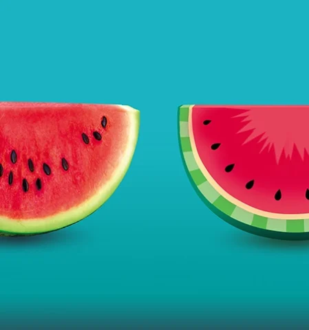 Ein Bild zeigt zwei halbe Wassermelonen in unterschiedlichem Stil, um den Unterschied zwischen Pixelgrafiken und Vektorgrafiken zu erklären